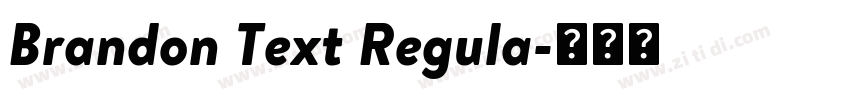 Brandon Text Regula字体转换 Brandon Text Regula字体转换